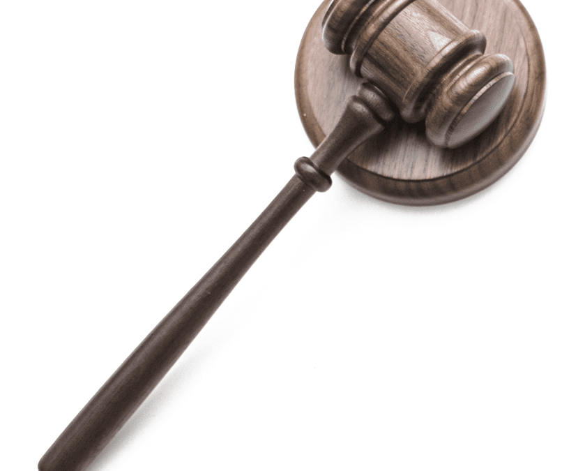 Primjedbe Udruženja na Predlog Zakona o sudskim vještacima